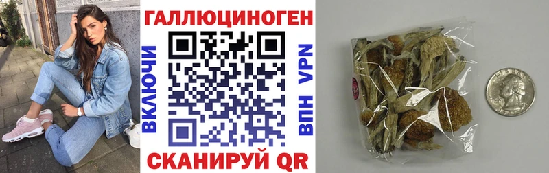 наркотики  Могоча  Псилоцибиновые грибы MAGIC MUSHROOMS 